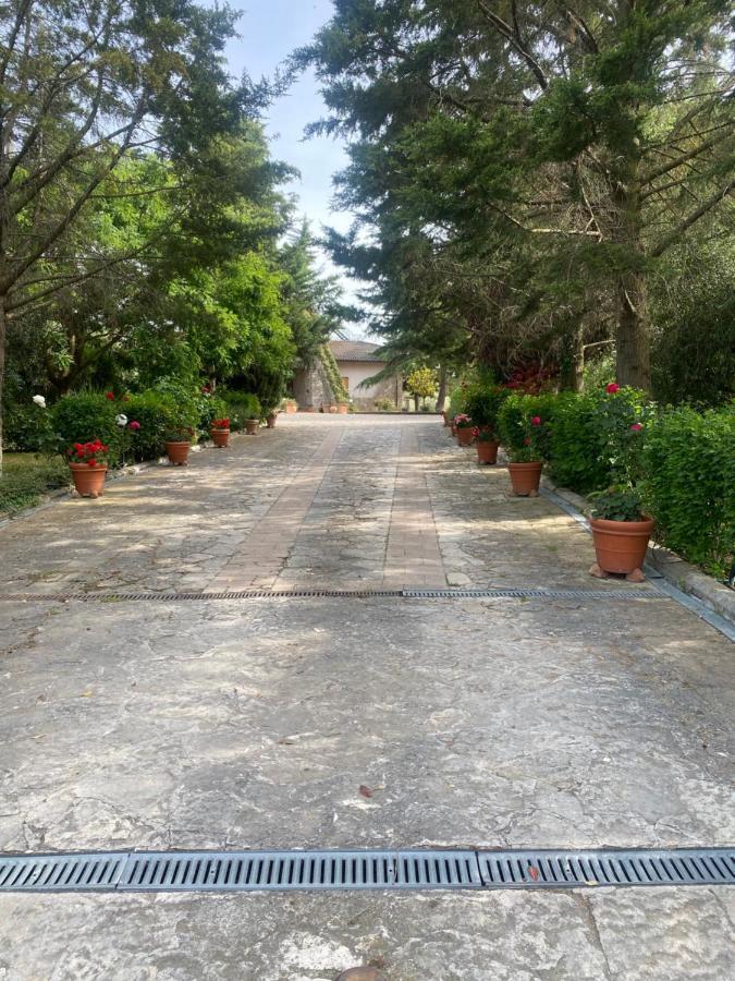 Appartement Trasimeno 2 à Casamaggiore Extérieur photo
